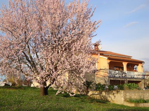 Poreč Kroatien Traveller Hotel Gutscheincode Booking.com