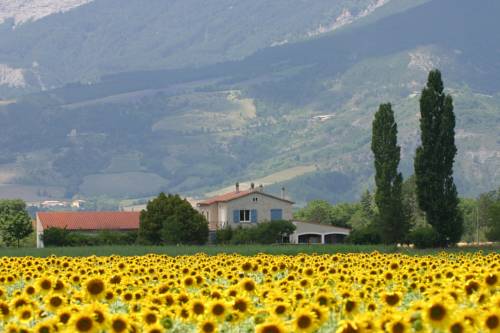 Menglon Frankreich Traveller Hotel Gutscheincode Booking.com