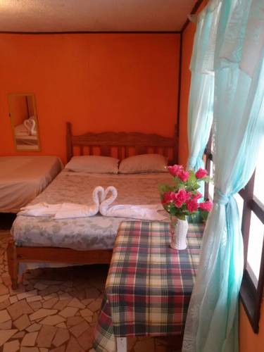 Tortuguero Costa Rica Traveller Hotel Gutscheincode Booking.com