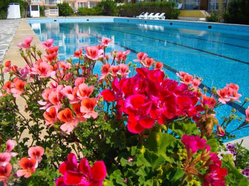 Kavarna Bulgarien Traveller Hotel Gutscheincode Booking.com