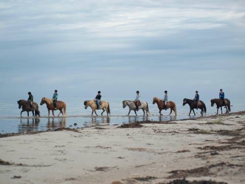 Læsø Dänemark Traveller Hotel Gutscheincode Booking.com