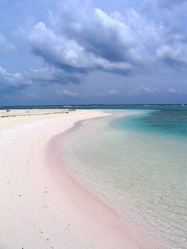 Cayman Islands Hotel