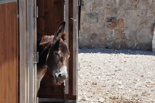Specchiolla  Italien Traveller Hotel Gutscheincode Booking.com