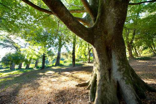 Daylesford Australien Traveller Hotel Gutscheincode Booking.com