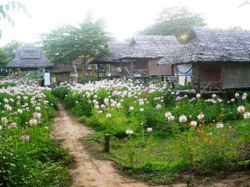 Pai Thailand Traveller Hotel Gutscheincode Booking.com