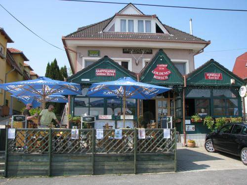 Zalakaros Ungarn Traveller Hotel Gutscheincode Booking.com