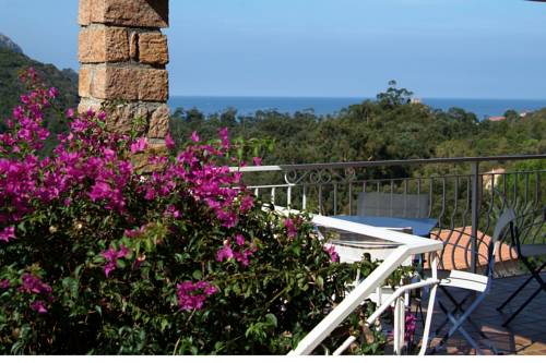 Porto Frankreich Traveller Hotel Gutscheincode Booking.com