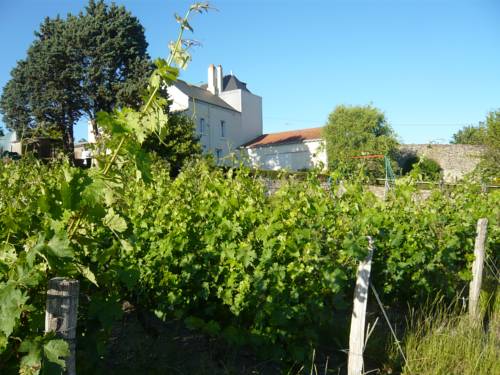 Montjean-sur-Loire Frankreich Traveller Hotel Gutscheincode Booking.com