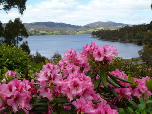 Schloss Forbes Bay Australien Traveller Hotel Gutscheincode Booking.com