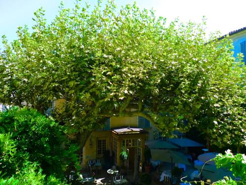 Avignon Frankreich Traveller Hotel Gutscheincode Booking.com