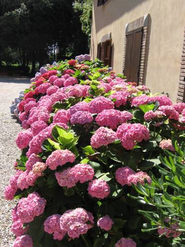 Perugia Italien Traveller Hotel Gutscheincode Booking.com
