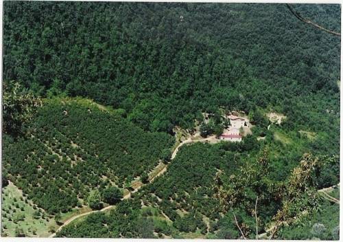 Belmonte In Sabina Italien Traveller Hotel Gutscheincode Booking.com
