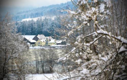 Hauzenberg Deutschland Traveller Hotel Gutscheincode Booking.com