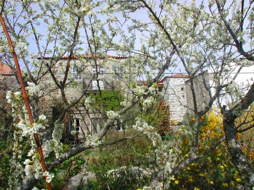 Provesende Portugal Traveller Hotel Gutscheincode Booking.com
