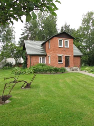 Affe Lettland Traveller Hotel Gutscheincode Booking.com