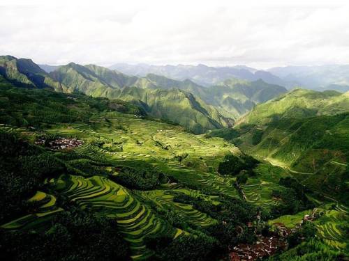 Suichang China Traveller Hotel Gutscheincode Booking.com