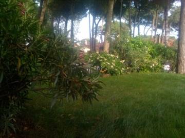 Isola Albarella Italien Traveller Hotel Gutscheincode Booking.com