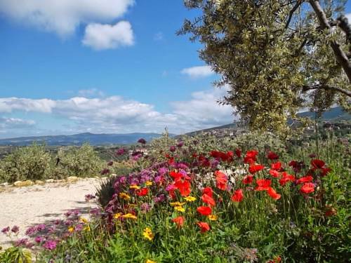 Montecchio Italien Traveller Hotel Gutscheincode Booking.com